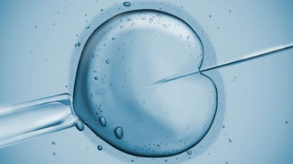 IVF-Treatment-Single-Embryo-Transfer